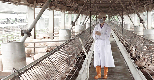 台糖正將循環經濟理念導入農業（畜殖）經營，期打造全新養豬產業