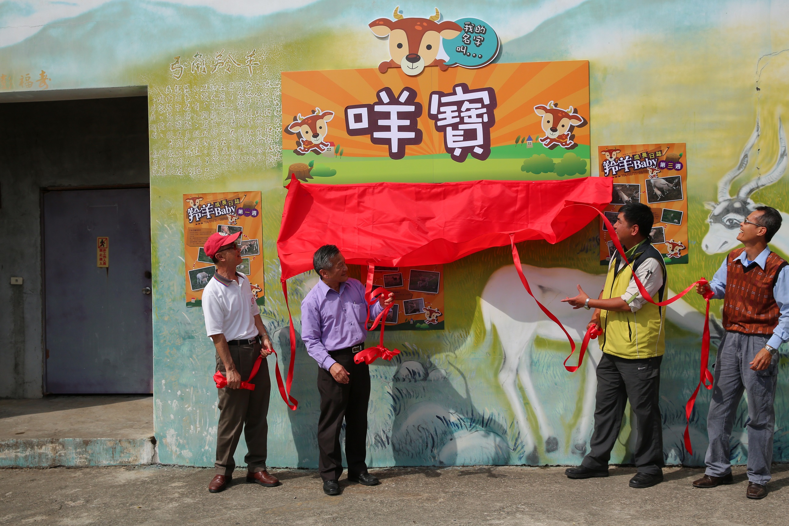 池上牧野渡假村飼養的弓角羚羊於1月25日產下一隻羊寶寶，經網友票選命名為「咩寶」
