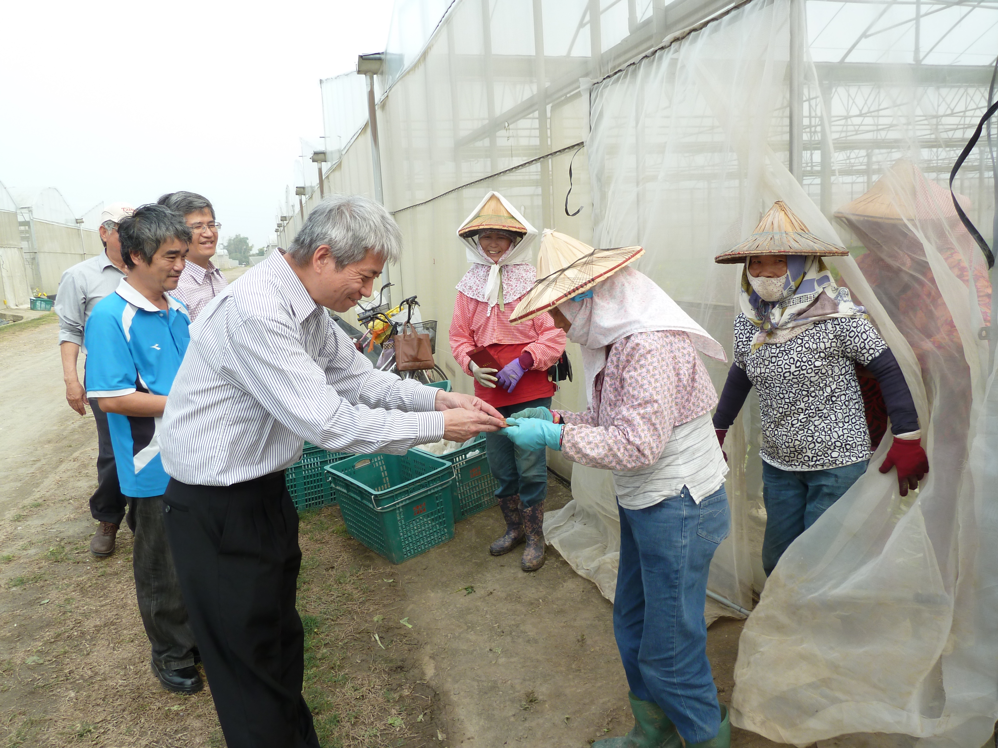 王副總經理視察高雄區處有機作物股，並致䁬同仁經包(1)