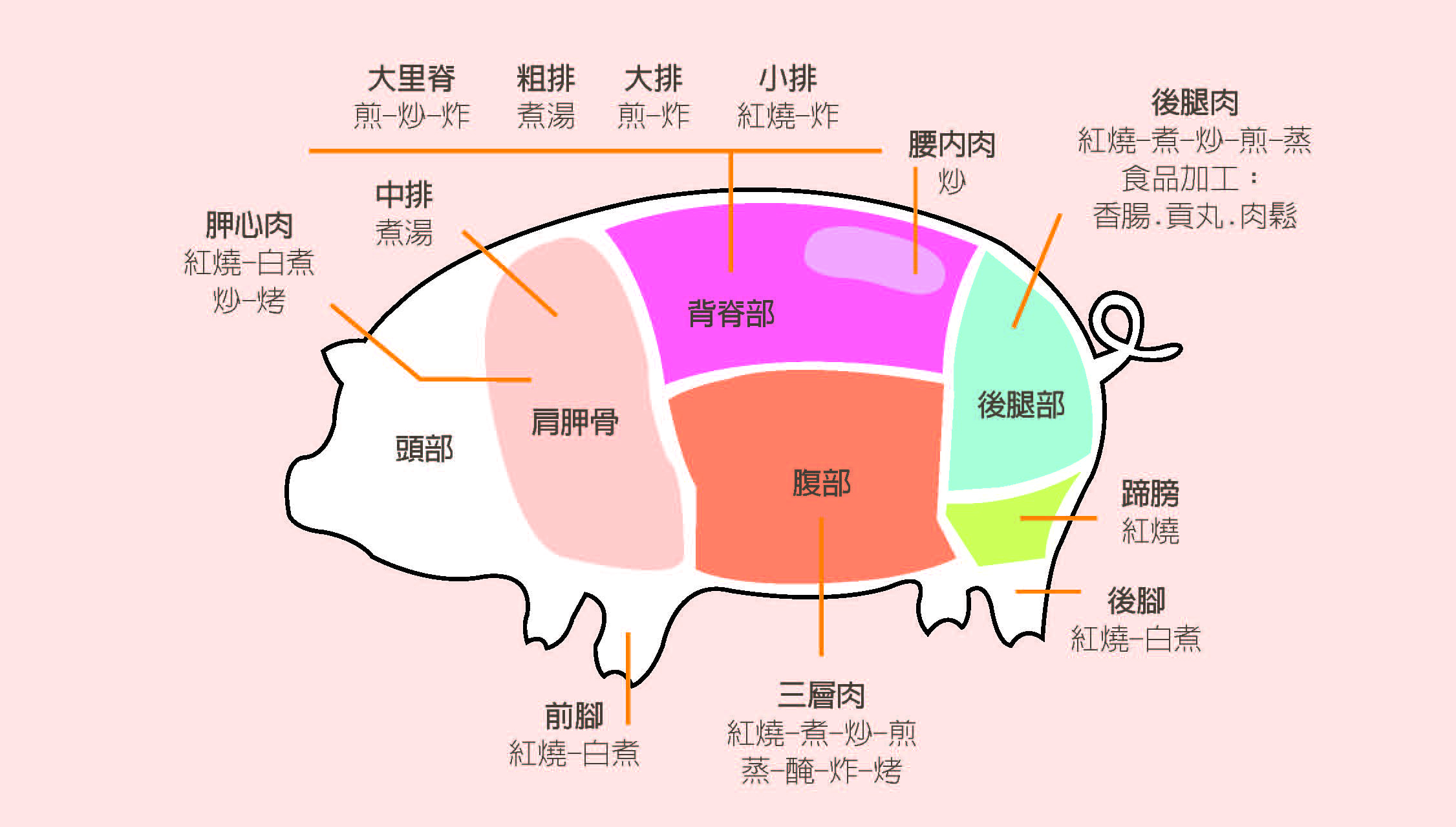 豬部位圖