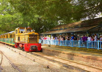 HOT好康示意圖：2026臺灣國際蘭展期間，台糖烏樹林推出限定五分車，只要10分鐘即可載遊客直達蘭展會場。