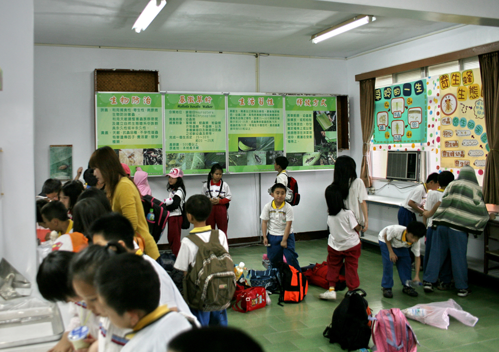 寄生蜂養殖之生物防治觀念，提供校外教學探索體驗