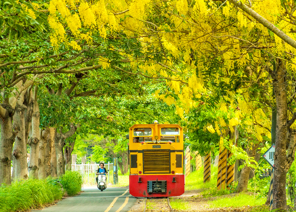 連結 高雄花卉農園中心五分車