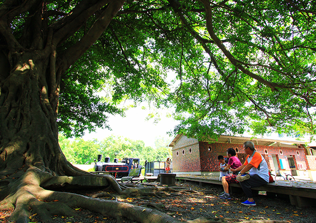 Environmental education of Qiaotou Sugar Industry Cultural Area