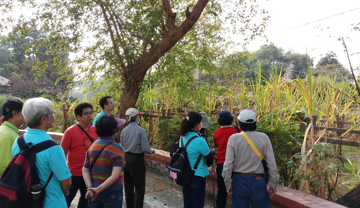 link to Environment Education Course of Qiaotou Sugar Factory Cultural Park -  Life of Sugar Cane