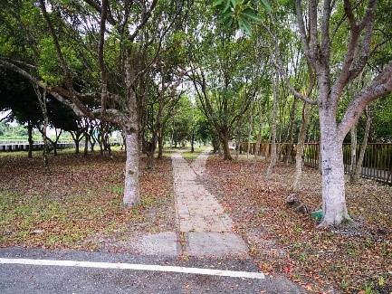 連結 糖業鐵道路線-3：台安幹線