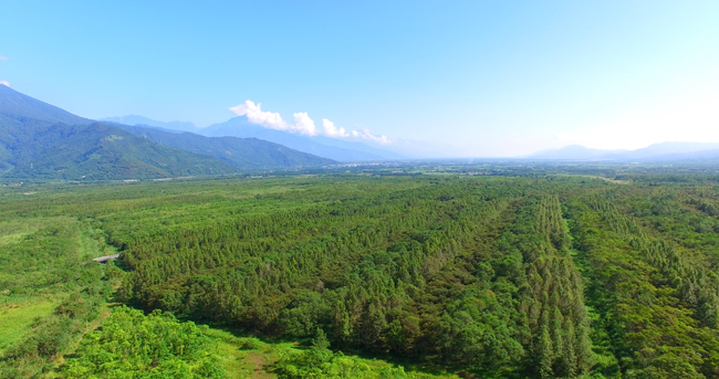 台糖造林空拍畫面