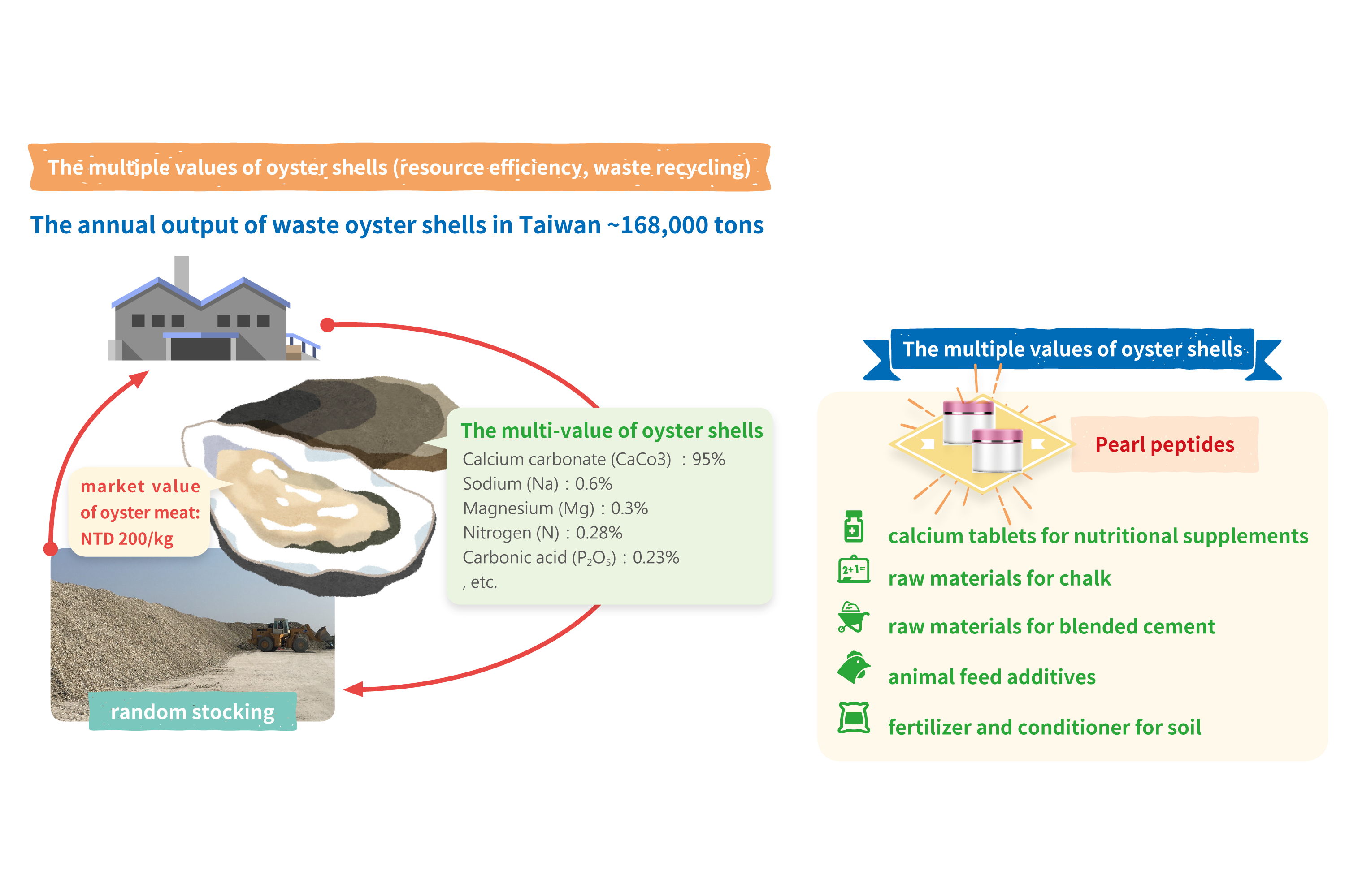 The multiple values of oyster shells (resource efficiency, waste recycling)