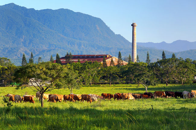 Sustainable Farm in Chihshang Pastoral Farm Resort