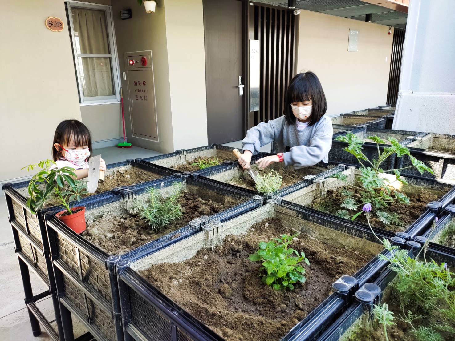 Residents are taking care of plants in the balcony garden.