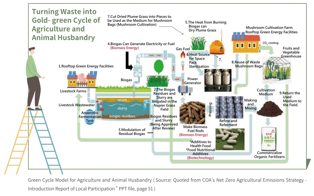 Turning waste into gold- green cycle of agriculture and animal husbandry