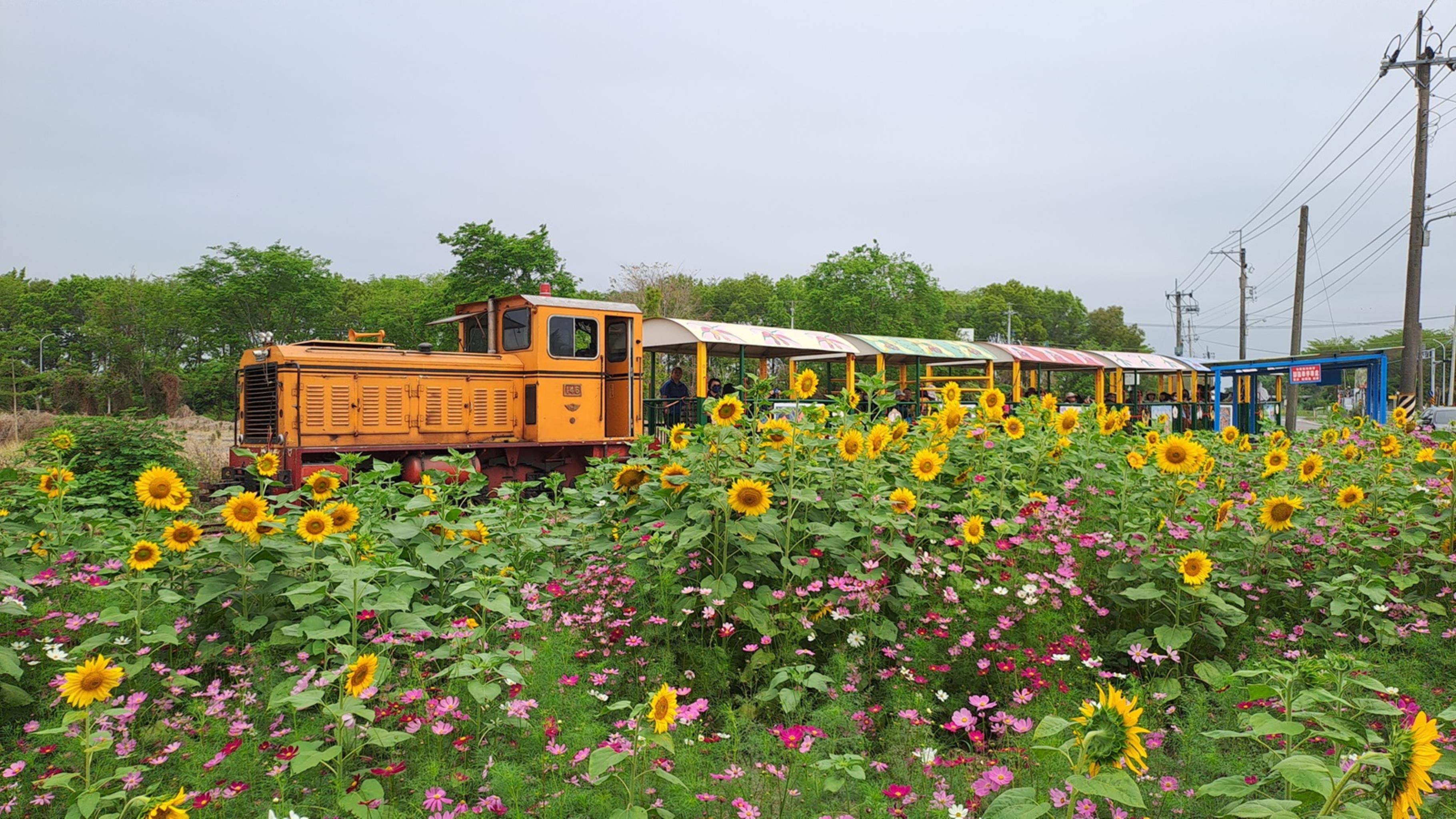 烏樹林五分車