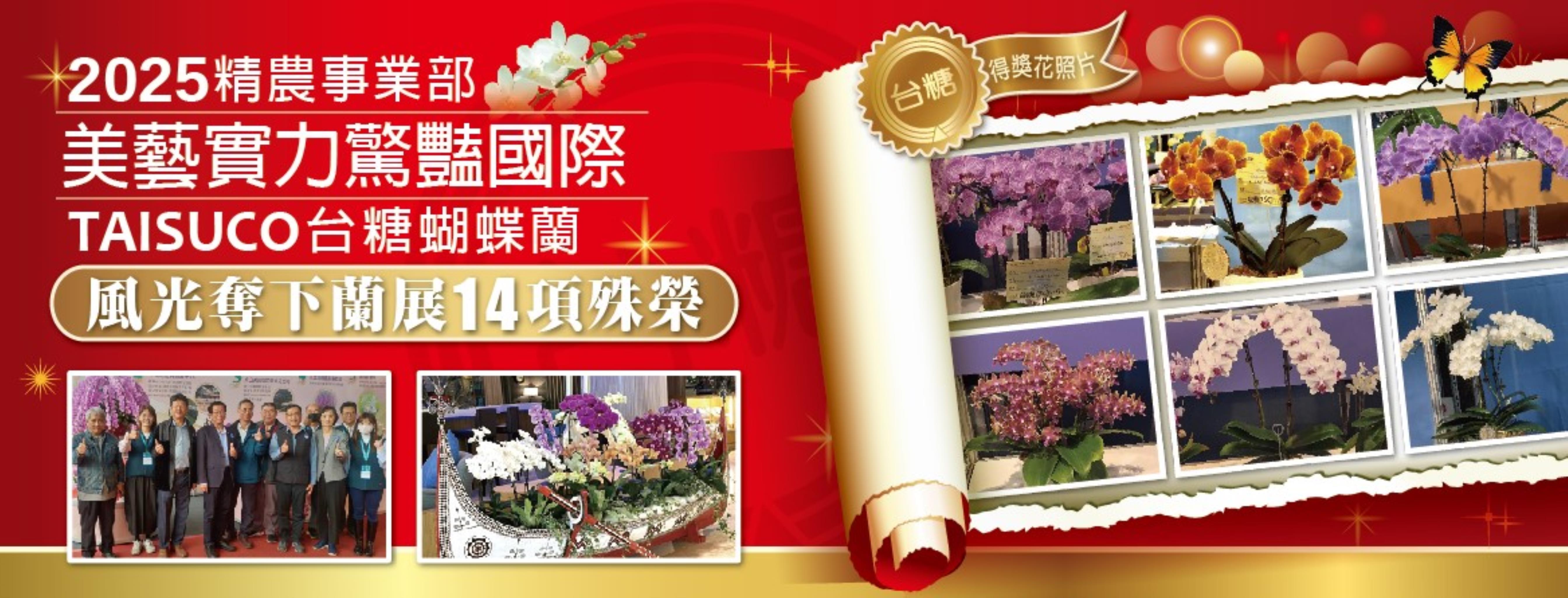 美藝實力驚豔國際 台糖蝴蝶蘭風光奪下蘭展14項殊榮