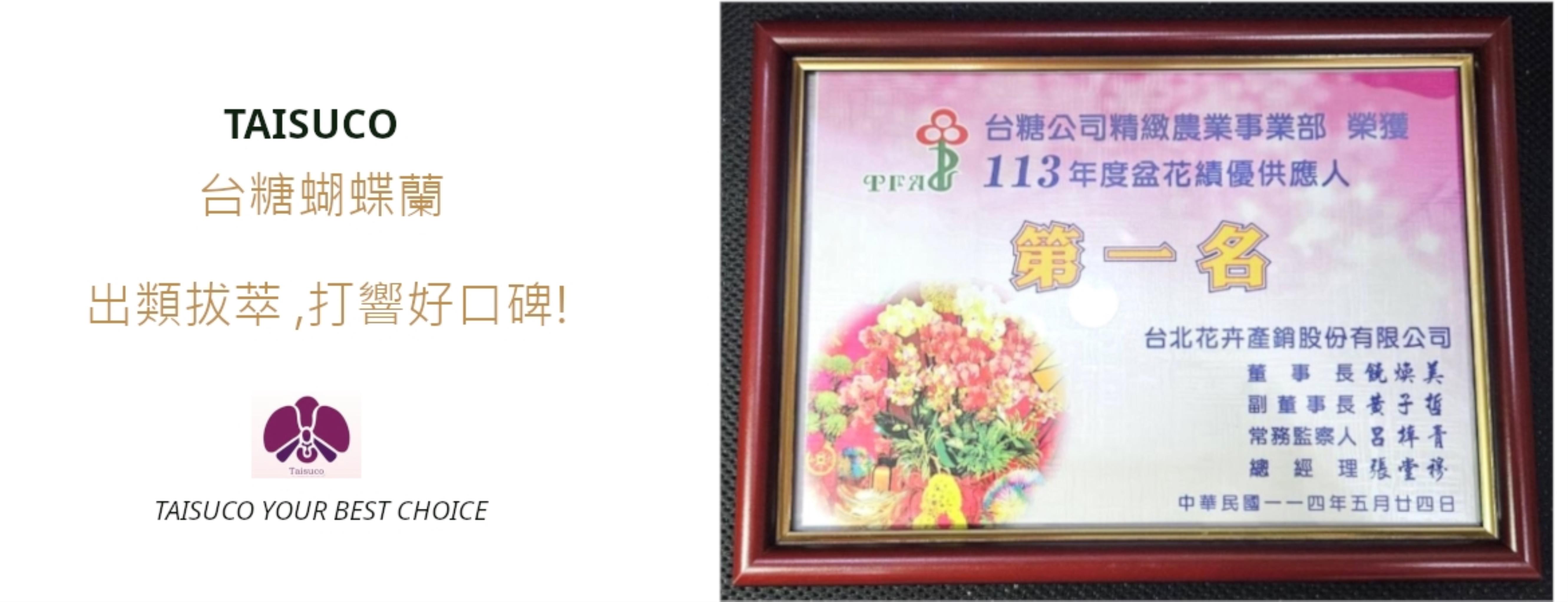 113盆花績優供應(埔里)
