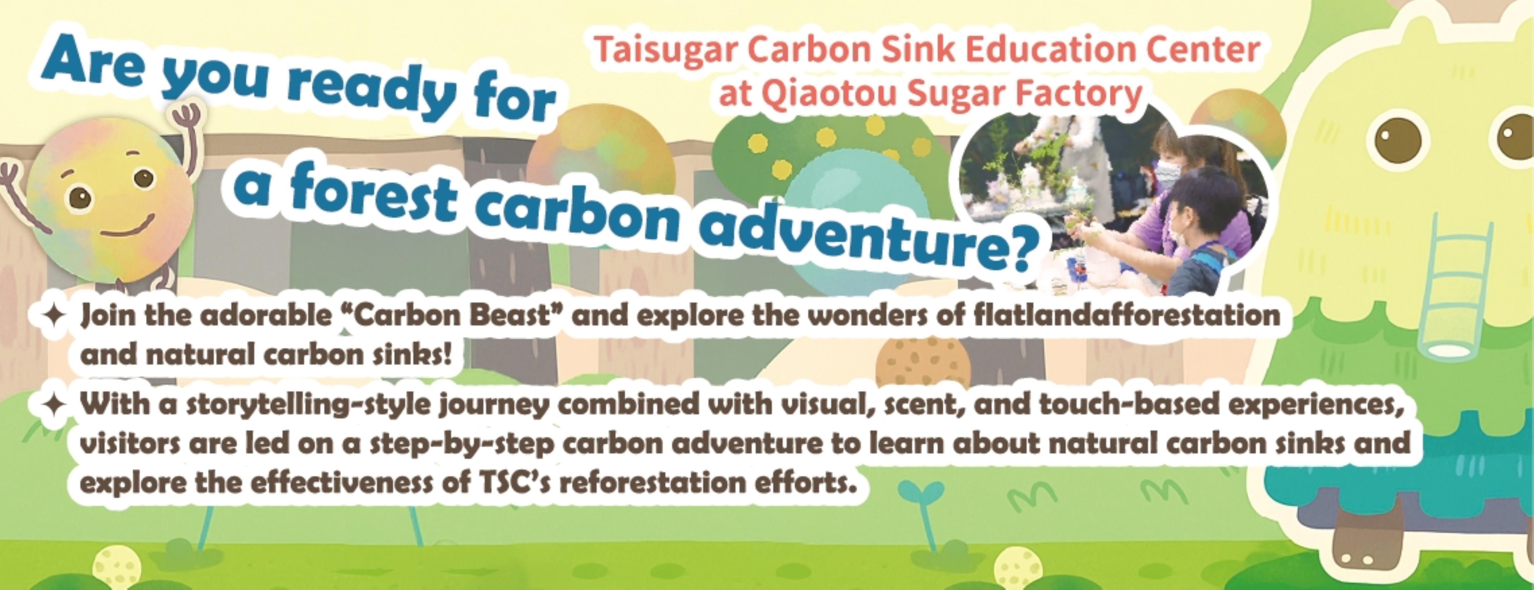 Are you ready for a forest carbon adventure?